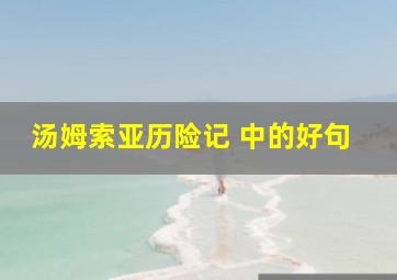 汤姆索亚历险记 中的好句